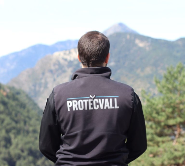 SERVEIS DE VIGILÀNCIA